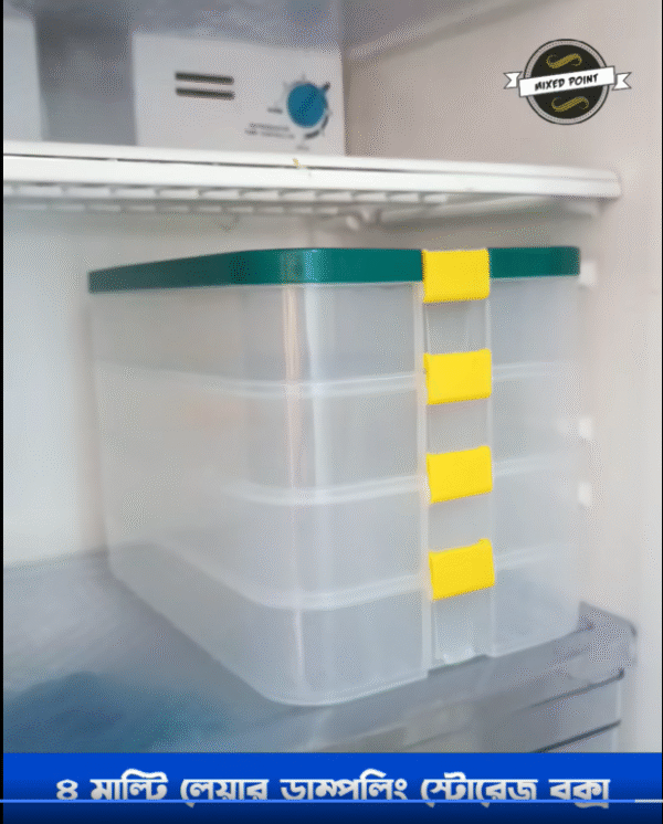 4 Layer Dumpling Storage Box